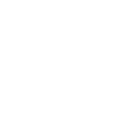 Gorilla VFX Logo