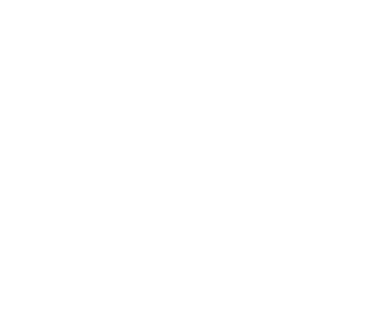 Prospela  Logo