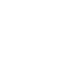 BlueBolt