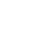 Gorilla VFX